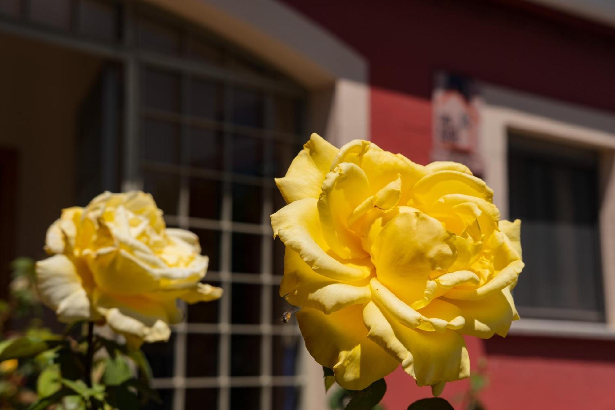 Casa Rural Rinconada La Rinconada de la Sierra Eksteriør bilde